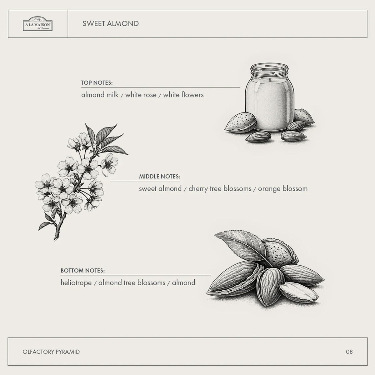 A LA MAISON Almond Liquid Hand Soap packaging details