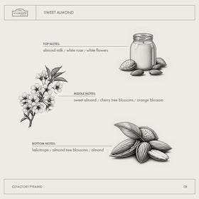 A LA MAISON Almond Liquid Hand Soap packaging details