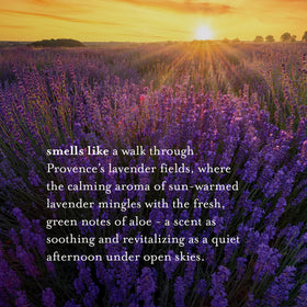 A LA MAISON Lavender Aloe Liquid Hand Soap in a lifestyle setting