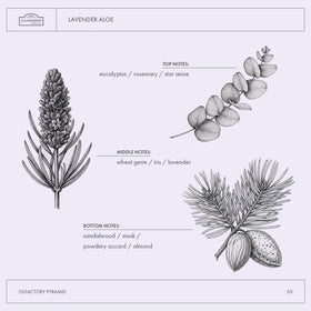 A LA MAISON Lavender Aloe Liquid Hand Soap packaging details