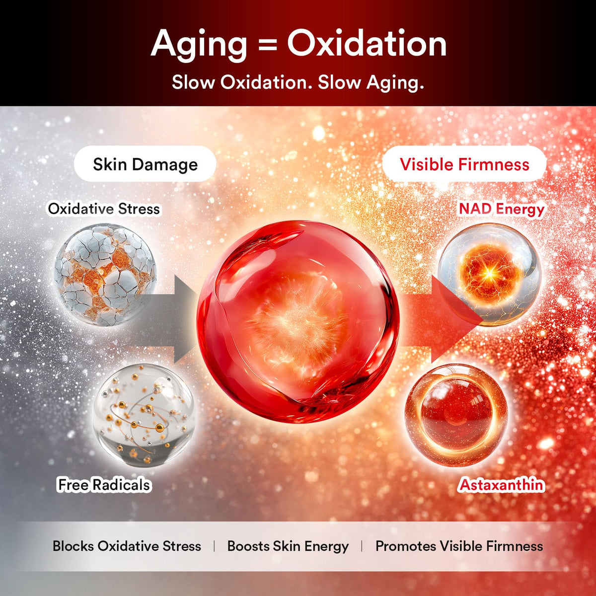 Abib ASTA-NAD Red Effect Serum with ingredients displayed