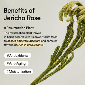 Abib Jericho Rose Cream ingredients list