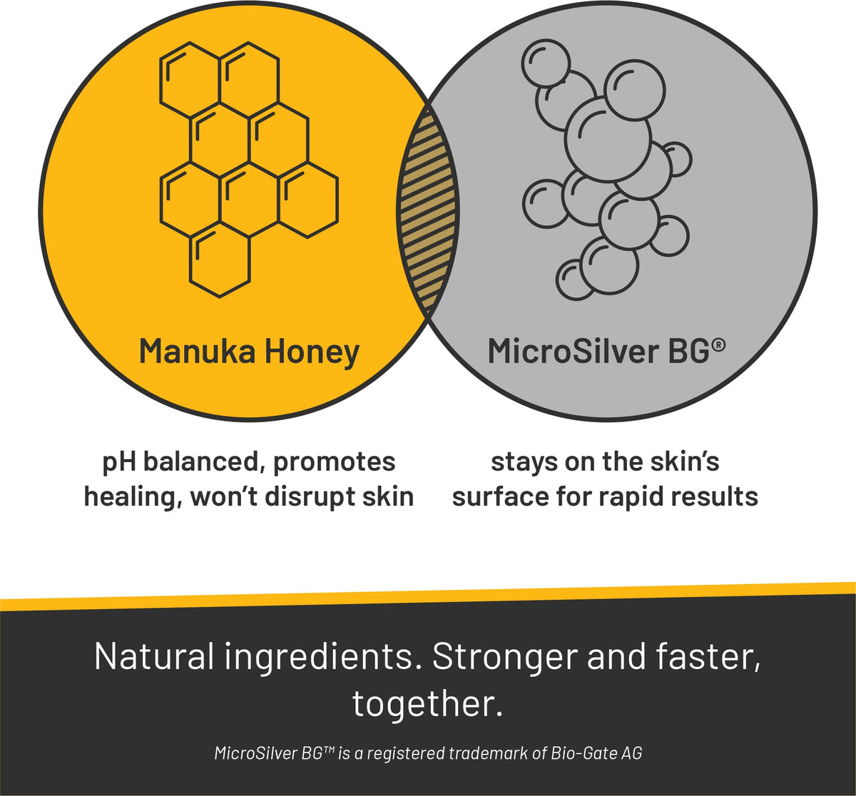 Absorbine Silver Honey Rapid Skin Relief Shampoo back view with ingredient list