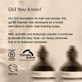 Aesop A Rose By Any Other Name Body Cleanser 500 mL with towel