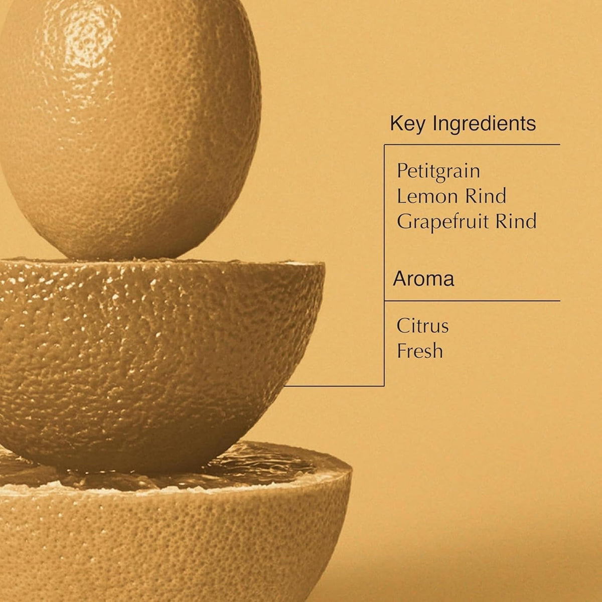 Aesop Citrus Melange Body Cleanser Refill side view showing packaging details