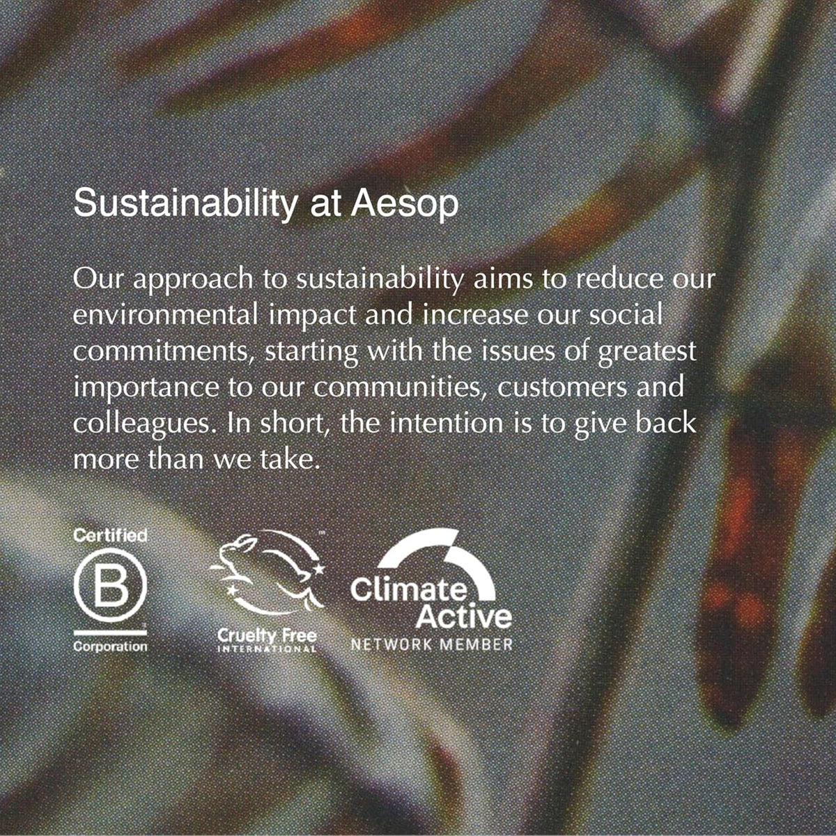 Aesop Eleos body wash in bathroom setting