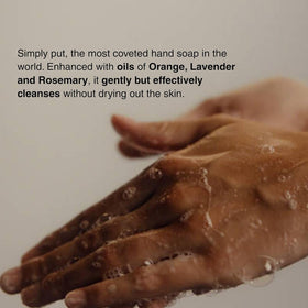 Aesop hand wash bottle with Mandarin Rind and Rosemary ingredients