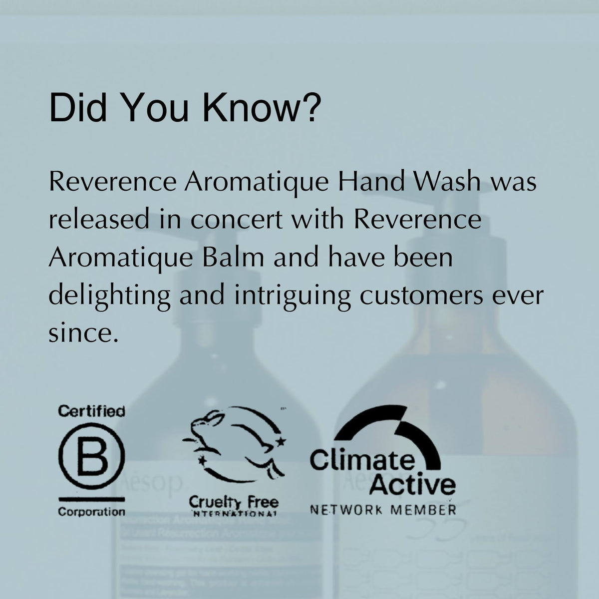 Aesop Reverence Aromatique Exfoliating Hand Wash with pumice texture