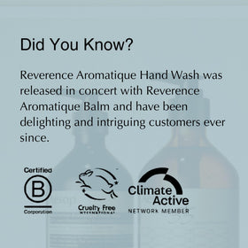 Aesop Reverence Aromatique Exfoliating Hand Wash with pumice texture