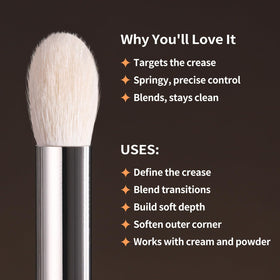ALBEAUT Tapered Eye Shadow Brush in hand demonstrating size