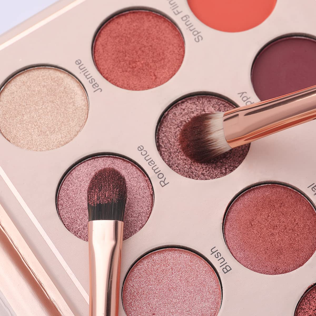 All 6 brushes from EVRCHGIEA makeup brush set