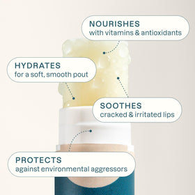 All 8 flavours of Cliganic Organic Lip Balm Set arranged neatly