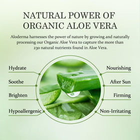 Aloderma Aloe Vera Gel applying on a hand