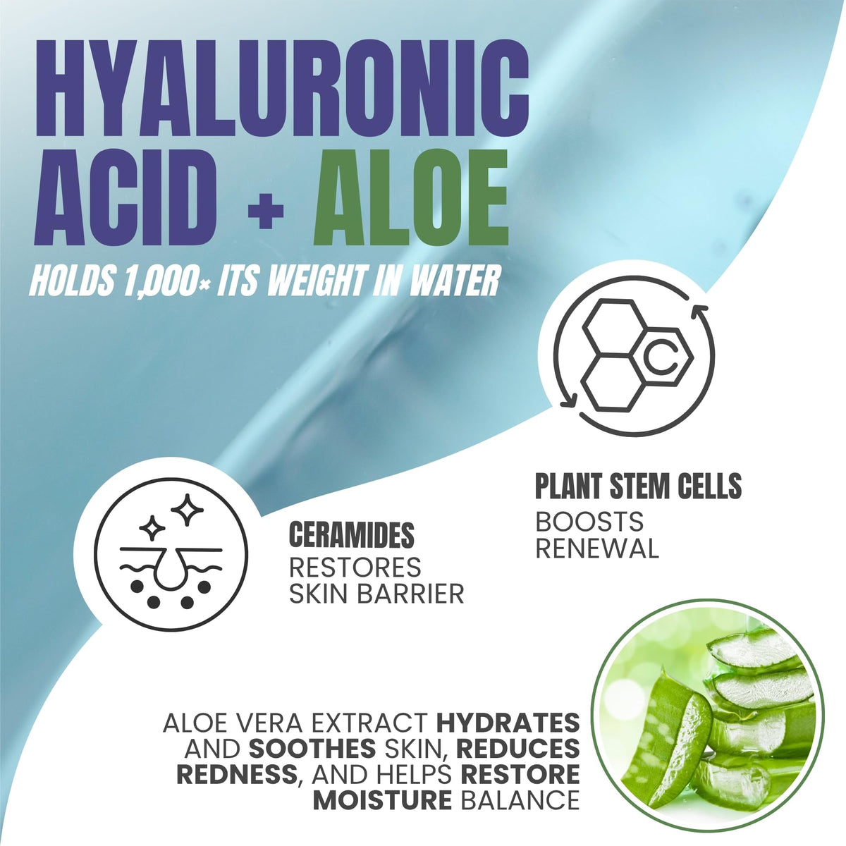 Alozera Hydrating Body Lotion 2-pack packaging