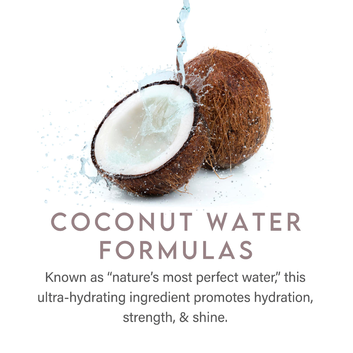 ALURAM Coconut Water Daily Shampoo 33.8 Fl Oz lifestyle scene