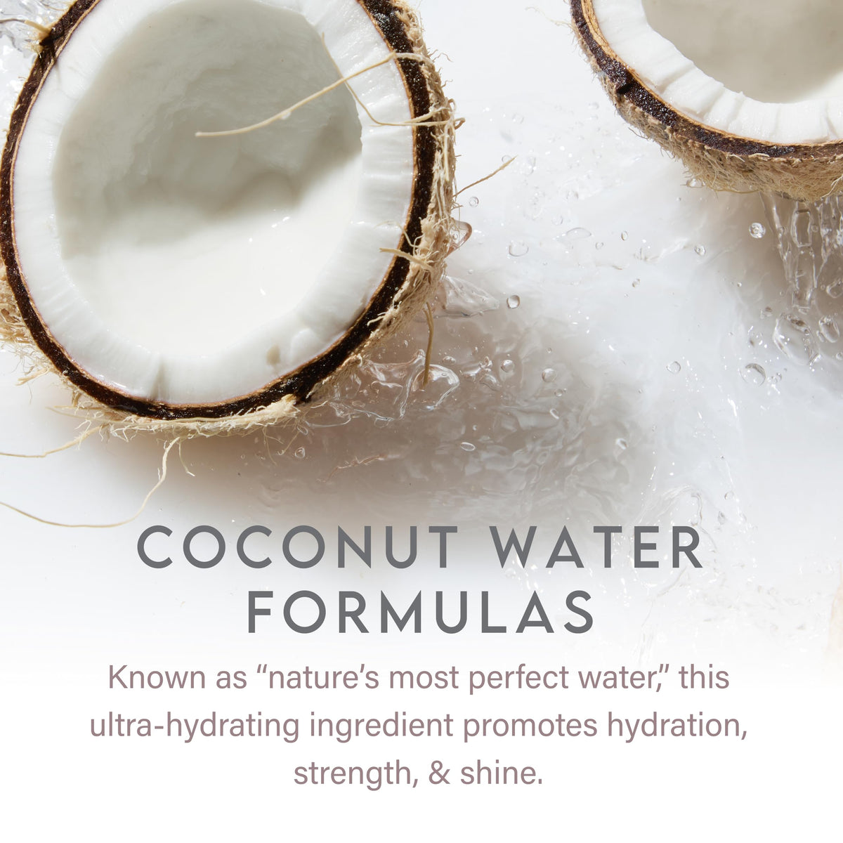 ALURAM Coconut Water Daily Shampoo ingredients list
