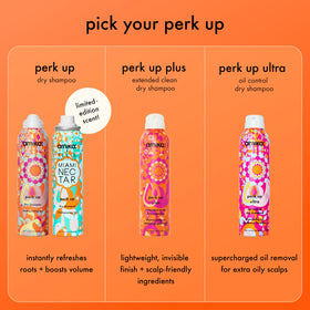 Amika Perk Up Dry Shampoo 9.5oz with hair styling tools