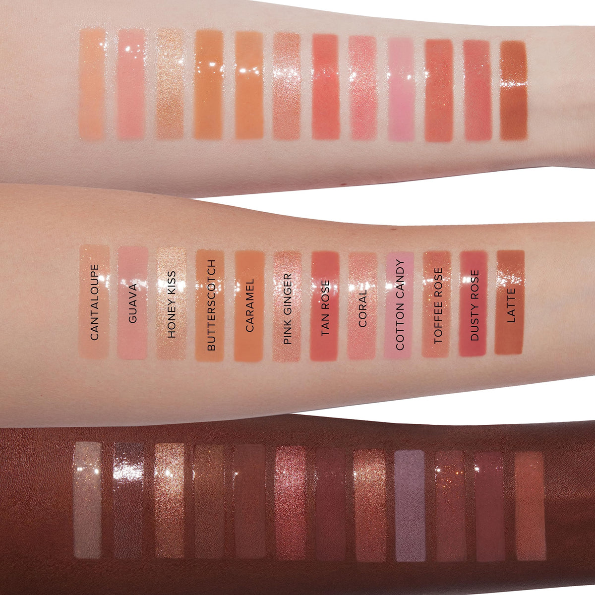 Anastasia Beverly Hills Lip Gloss Luminous Tinted in a makeup bag