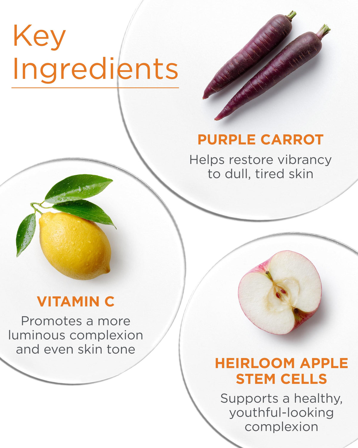 Andalou Naturals Purple Carrot Night Cream application on face