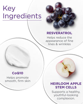 Andalou Naturals Resveratrol Q10 Night Repair Cream application on skin