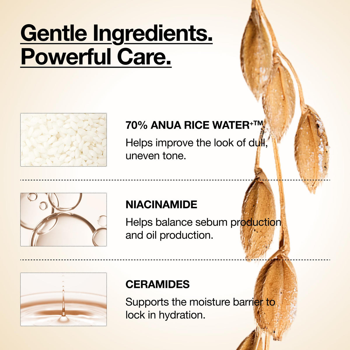 ANUA Rice 70 Glow Milky Toner with rice grains background