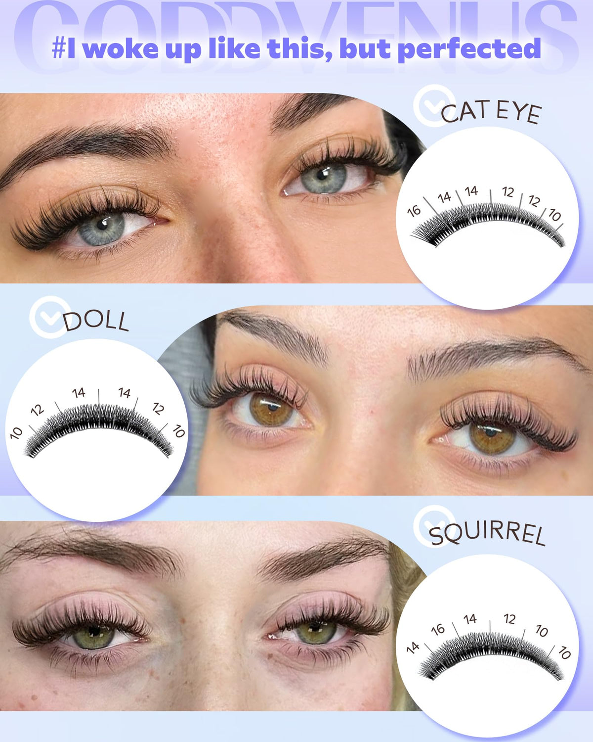 Application process of Goddvenus lash clusters with tweezers