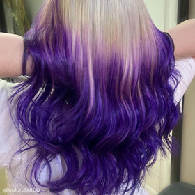 ARCTIC FOX Purple AF semi-permanent hair dye back view