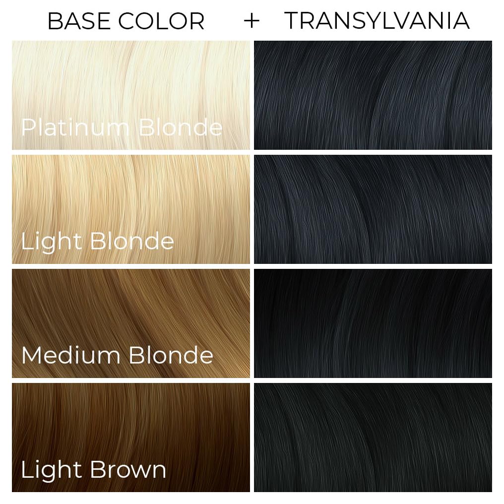 ARCTIC FOX Transylvania Black hair dye results on hair