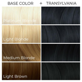ARCTIC FOX Transylvania hair dye packaging details