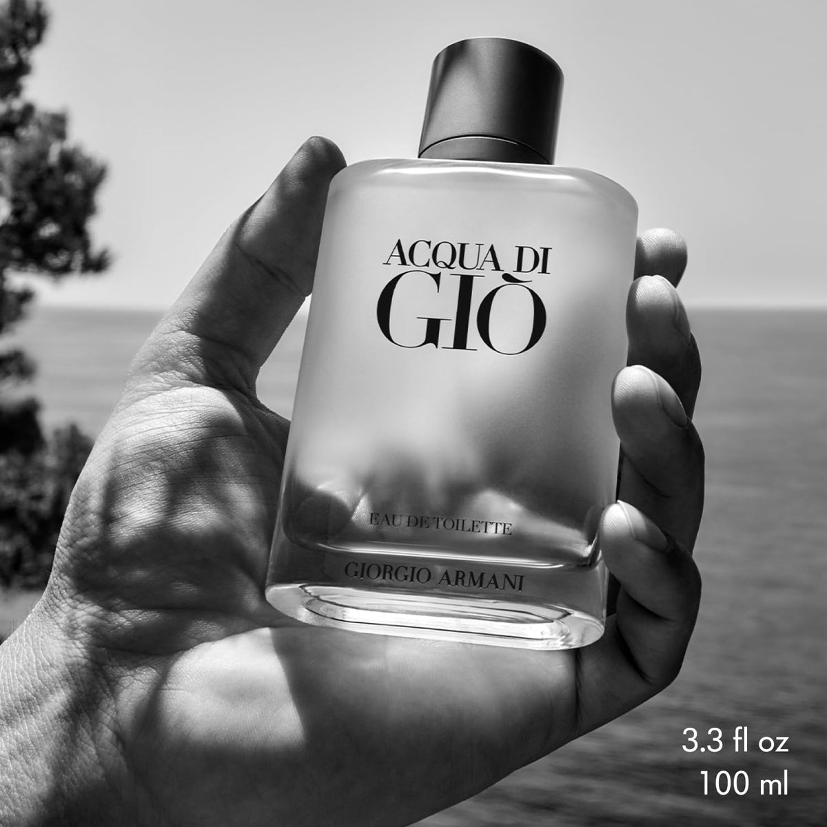 Armani Acqua di Giò on a wooden surface with natural decor