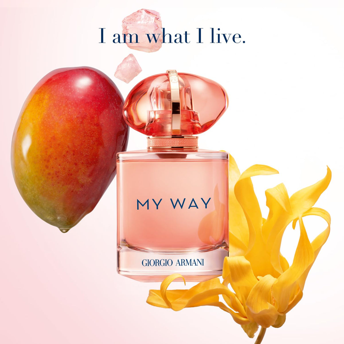 Armani Beauty My Way Ylang Eau de Parfum packaging box