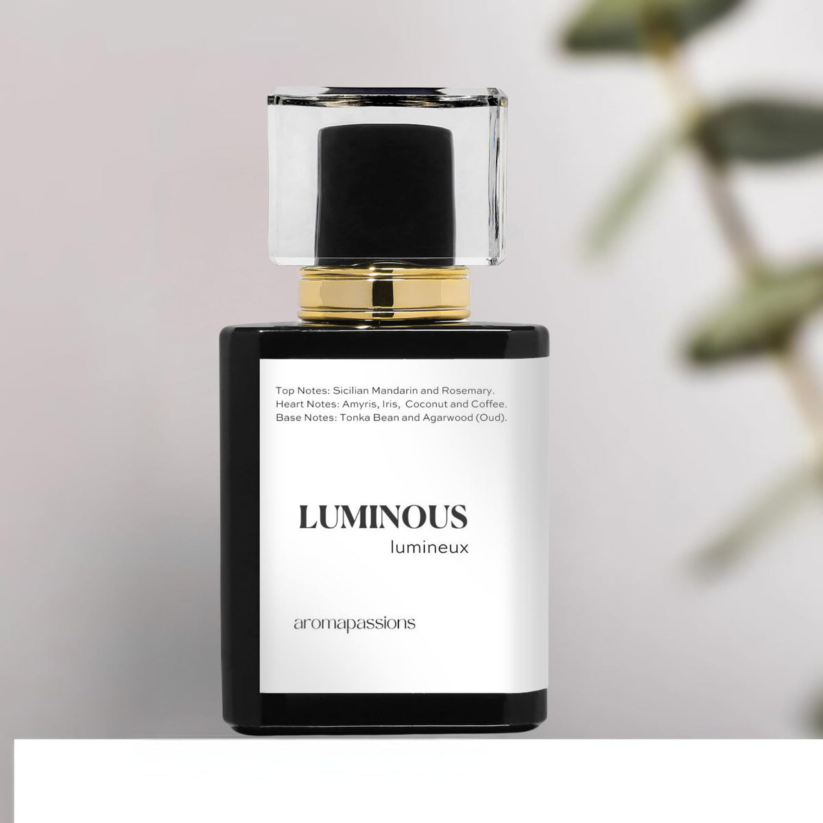 aromapassions LUMINOUS fragrance ingredients display