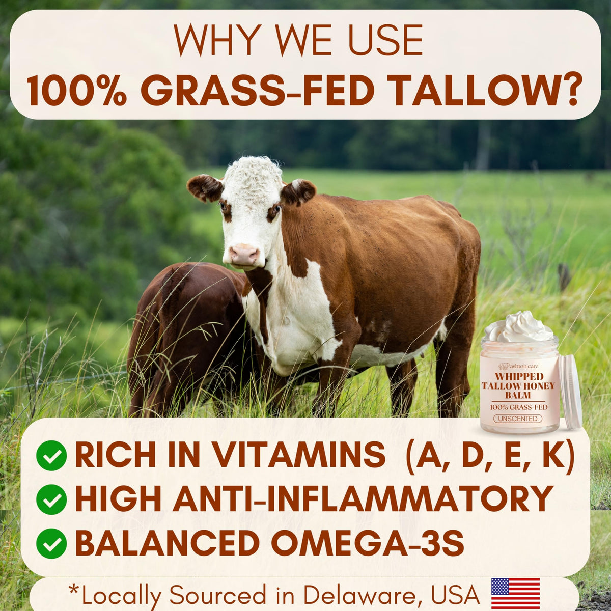 ASHTON CARE Whipped Beef Tallow and Honey Balm with natural ingredients
