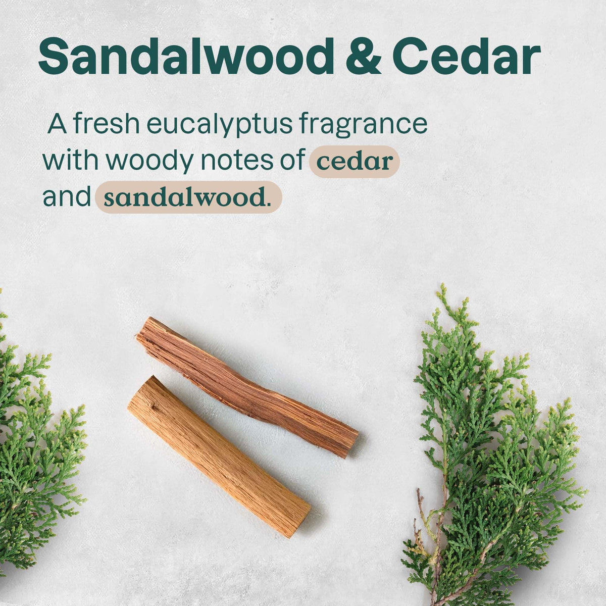 ATTITUDE Aluminum Free Deodorant Sandalwood & Cedar 2.64 Oz packaging