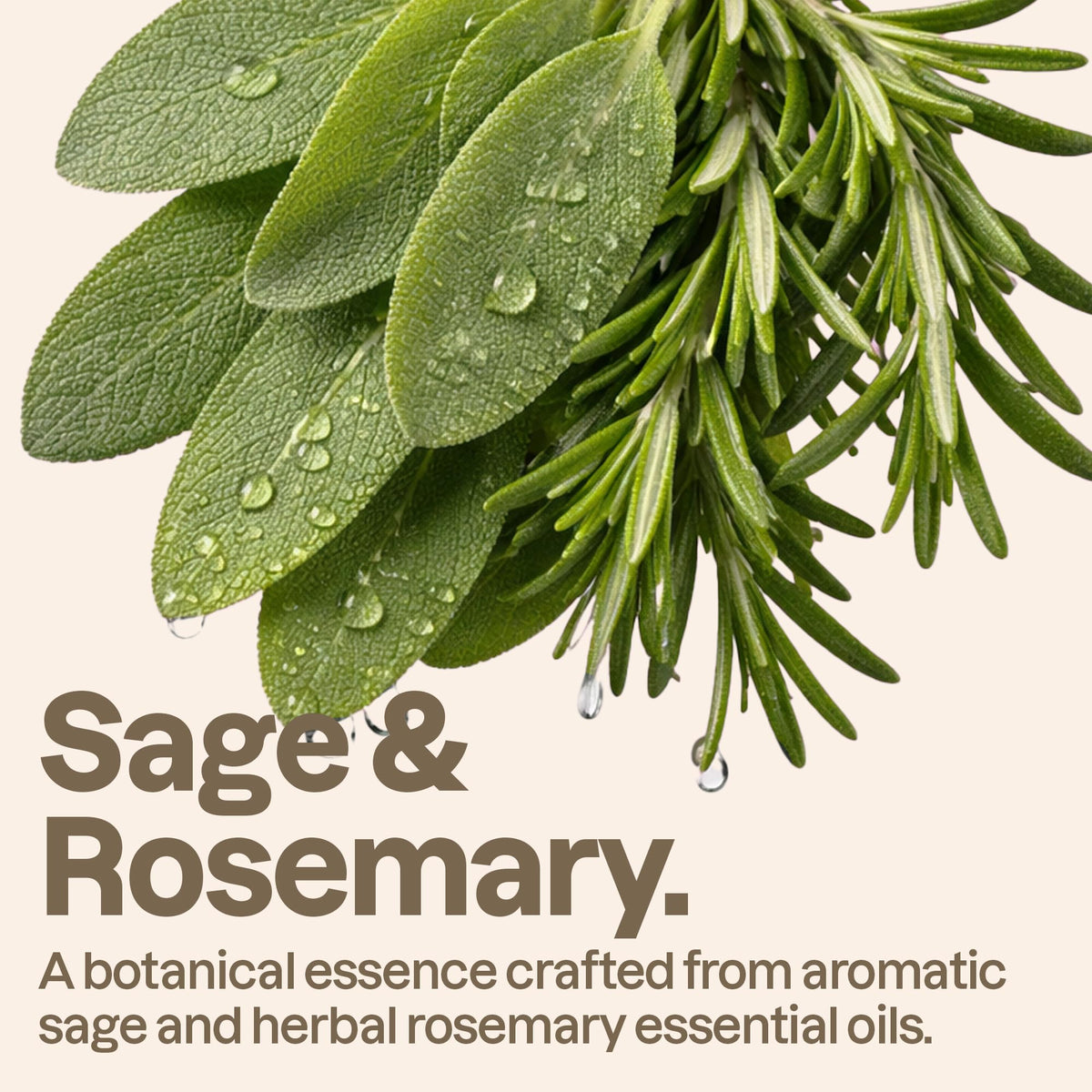 ATTITUDE Liquid Hand Soap Rosemary & Sage side view