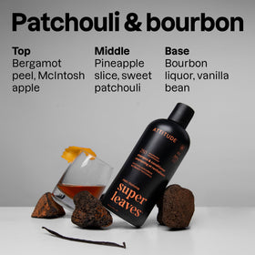 ATTITUDE Men's 2-in-1 Shampoo and Conditioner back view