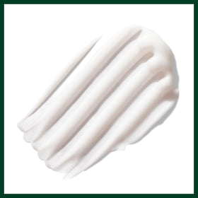 Aveda Botanical Kinetics Purifying Creme Cleanser in lifestyle setting