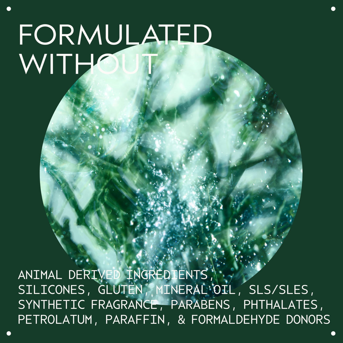 Aveda Botanical Kinetics Purifying Creme Cleanser texture close-up
