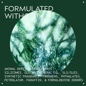 Aveda Botanical Kinetics Purifying Creme Cleanser texture close-up