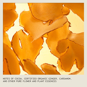 Aveda Nutriplenish Leave-In Conditioner back label showing ingredients