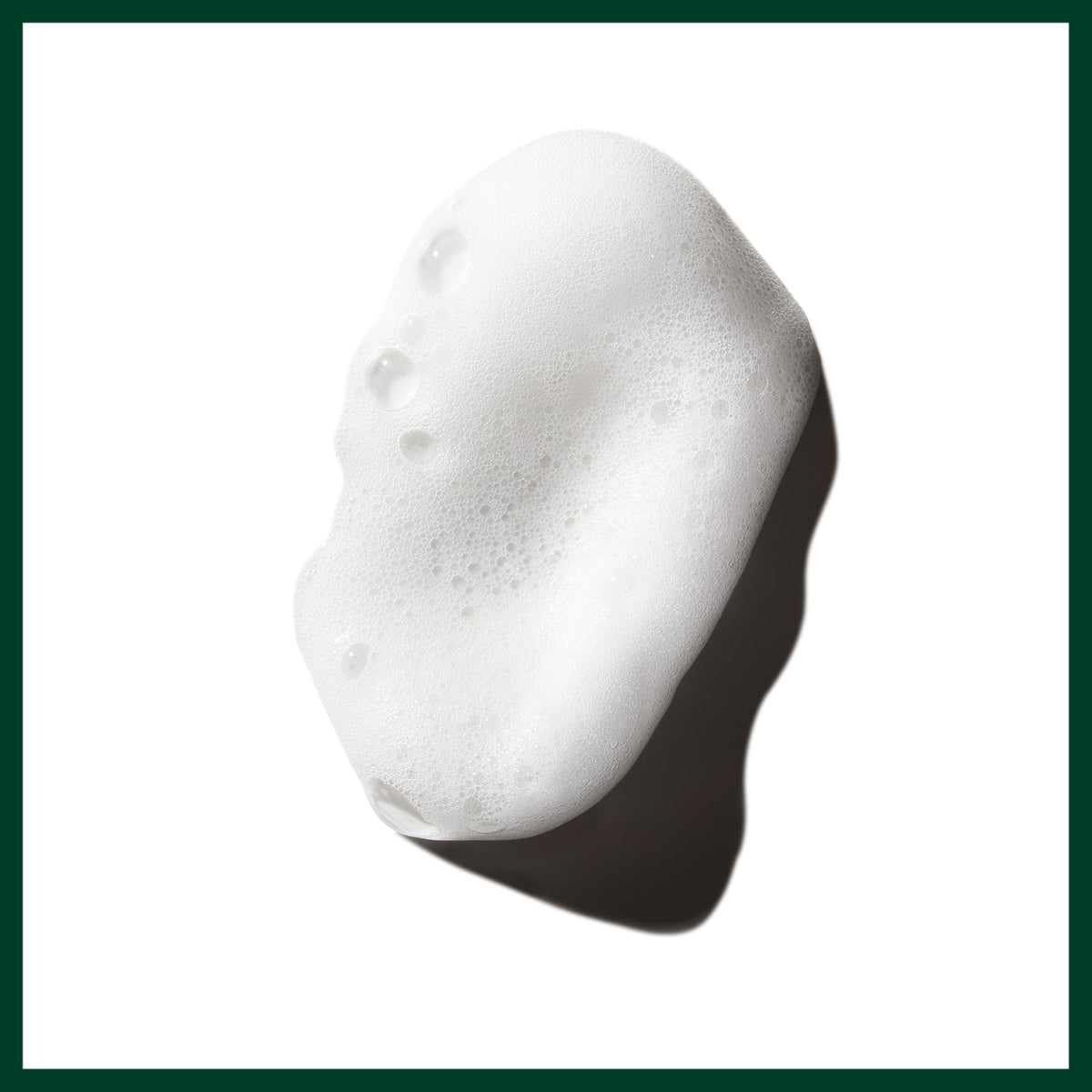 Aveda Phomollient Styling Foam with Aveda Paddle Brush