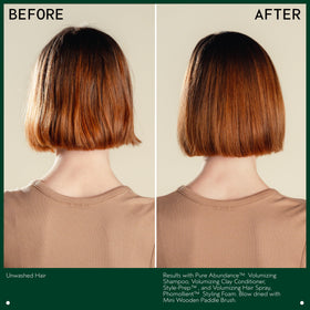 Aveda Phomollient Styling Foam with other Aveda products