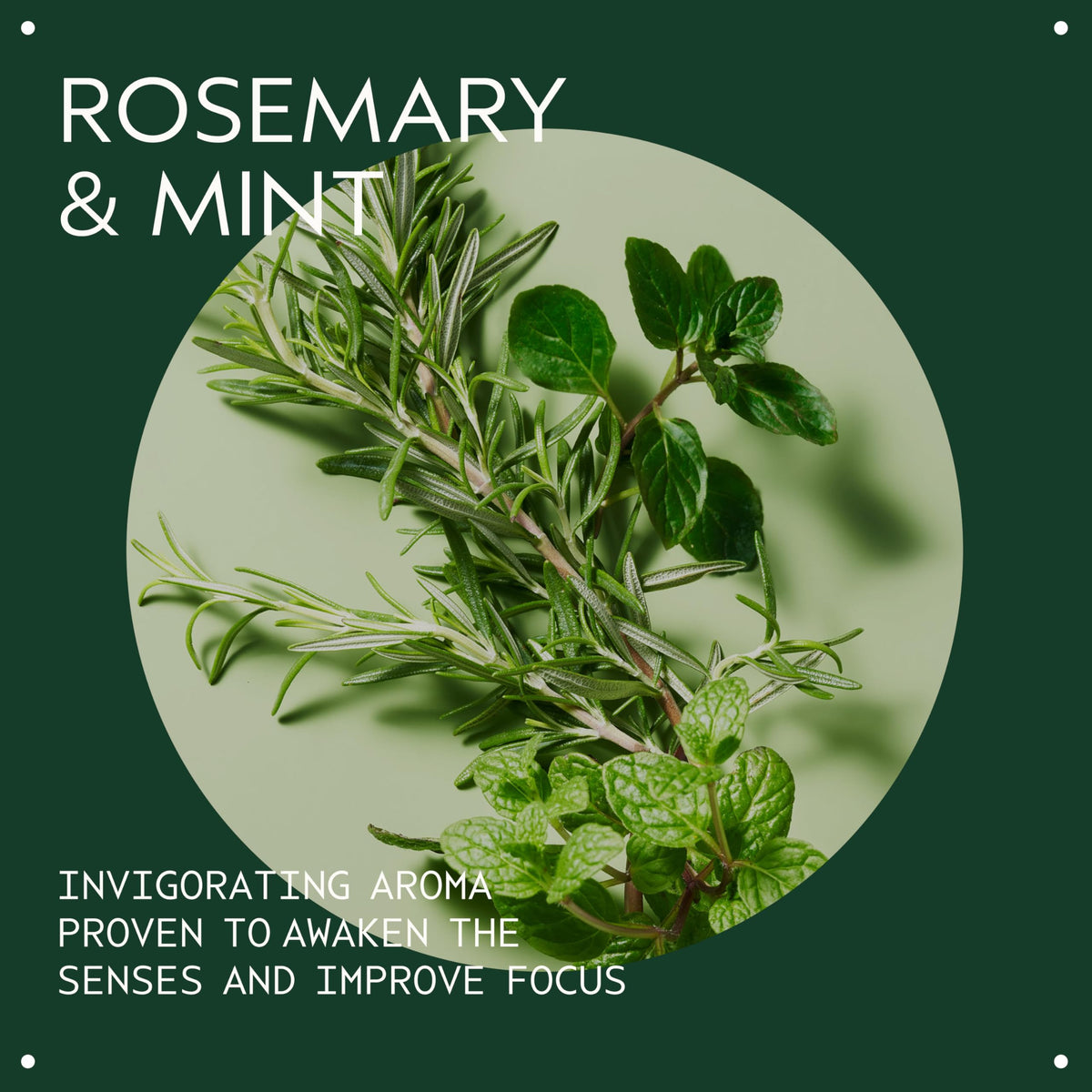 Aveda Rosemary Mint Conditioner bottle close-up