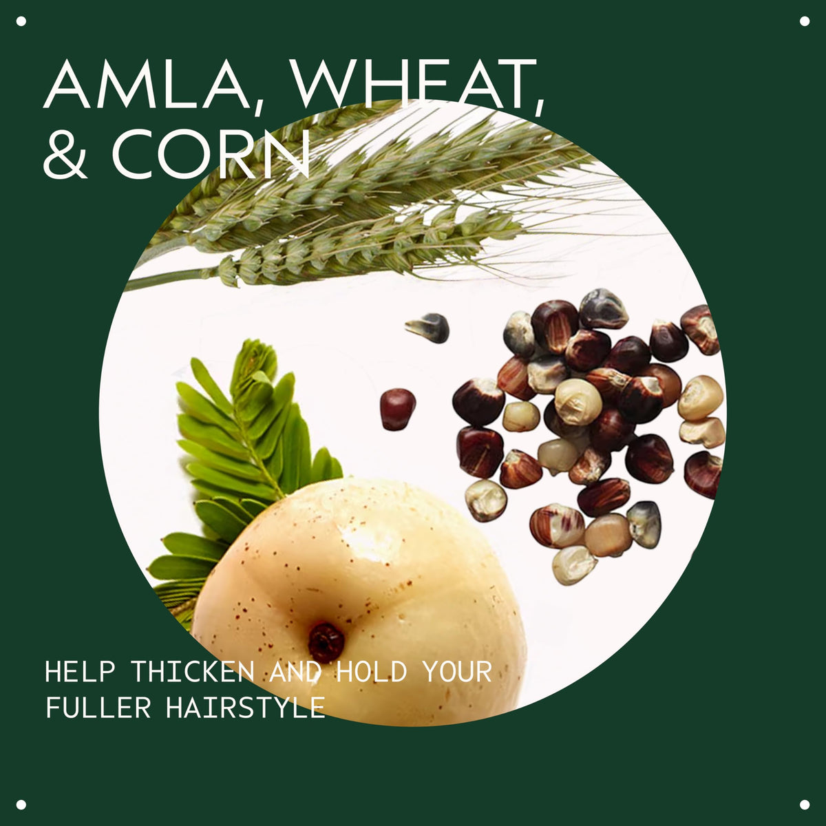 Aveda Thickening Tonic packaging side view
