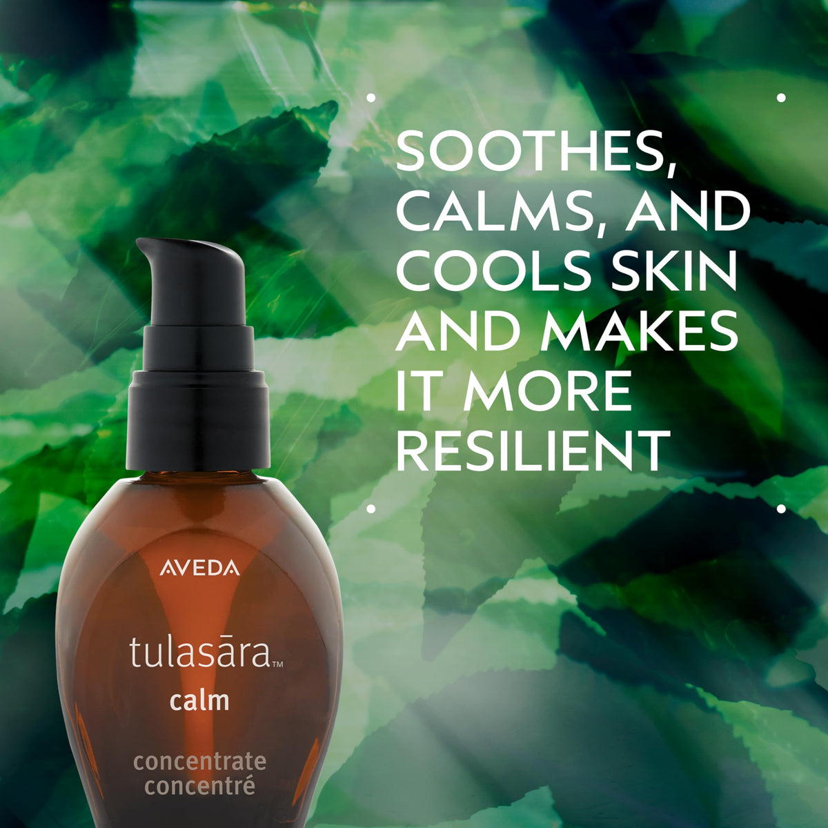 Aveda Tulasara Calm Concentrate bottle side view
