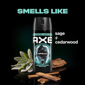 AXE Apollo Body Spray can front view