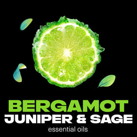 AXE Aqua Bergamot Deodorant Body Spray with essential oils ingredients