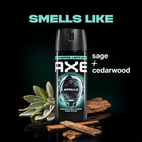 AXE Men Travel Deodorant Bodyspray Apollo in gym bag