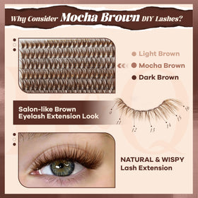 B&Qaugen Brown Lash Clusters in tray showing 280 pieces