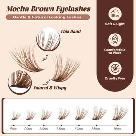 B&Qaugen Brown Lash Clusters Kit with individual lash clusters displayed